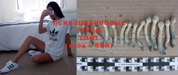 ALPHA PVP Нефтекумск