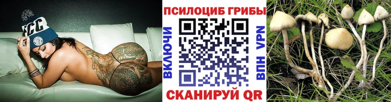 хочу   ОМГ ОМГ   Псилоцибиновые грибы Cubensis  Игарка 