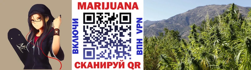 Бошки Шишки план  Игарка 